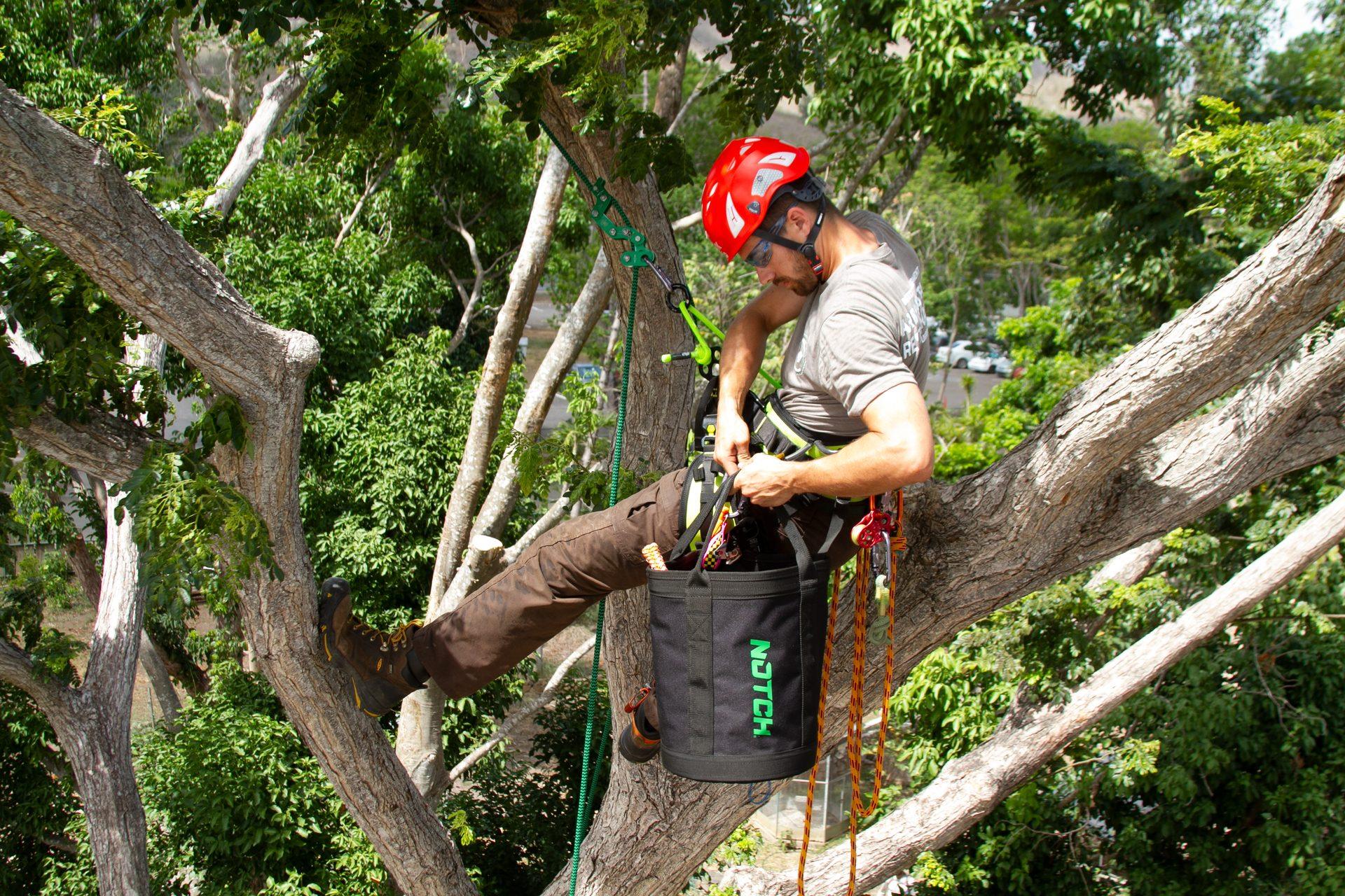 Category-appropriate tree work